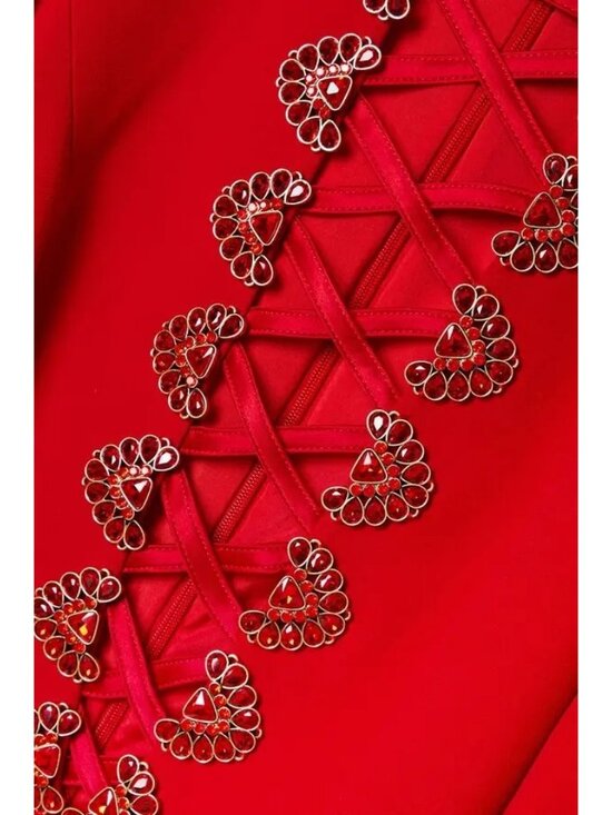 NWT $4450 Andrew GN Lace Up Crystal Embellished Crepe Gown Red Size 6 - Picture 4 of 8